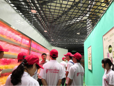 心系三農，讓農業插上科技的翅膀——網絡工程賦能現代農業發展