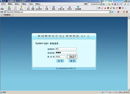 昆山鹿城信息科技 一站式網(wǎng)站建設(shè)與軟件開發(fā)服務(wù)