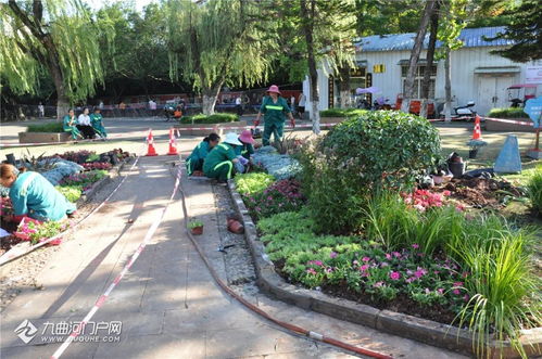 以賽促練強(qiáng)技能 匠心鑄就城市美——資陽市園林綠化管理處成功舉辦第十四屆“十萬職工大練兵、大比賽、技藝大比武”活動(dòng)